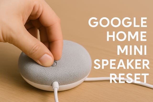 Google home mini speaker reset