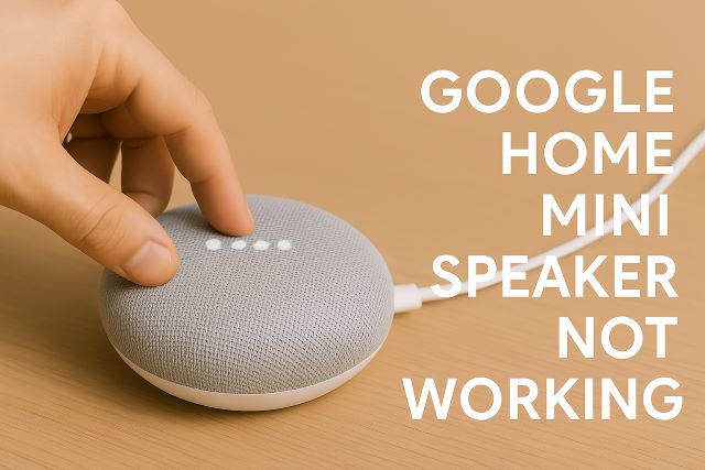 Google home mini speaker not working